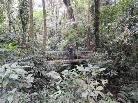 Santa Elena Cloud Forest Reserve - Chile to Mexico