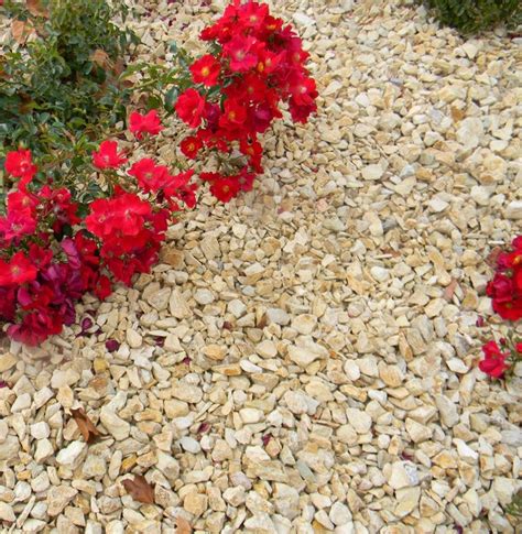 California Gold Gravel 3/4" Screened. This gravel has been mechanically ...