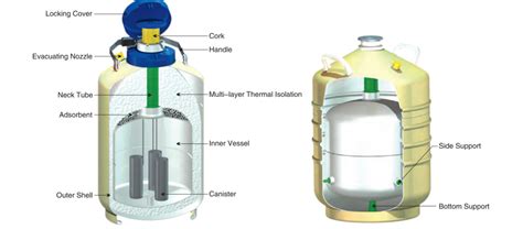 Liquid nitrogen dewars - Labtech