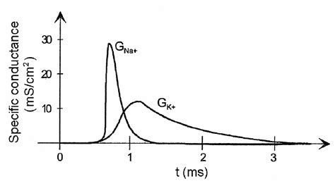 Figure 1.1 from A basic study of electrical impedance spectroscopy for ...