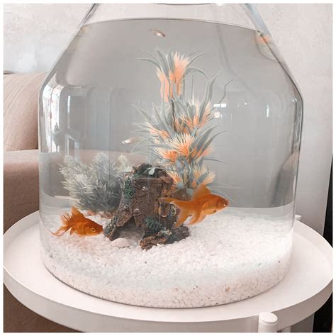 Pin by Savannah Kitner on fish tanks in 2020 | Betta fish bowl, Diy fish tank, Fish tank decorations