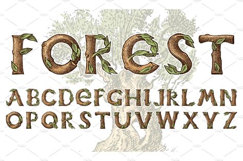 Antique wood Font for forest | Texture Illustrations ~ Creative Market