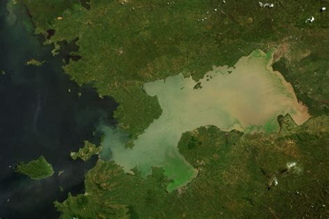 Lake Victoria reaches record high levels - Earth.com