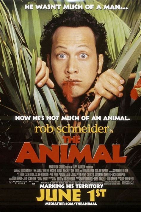 The Animal | Rob schneider, Hd movies, Comedy movies