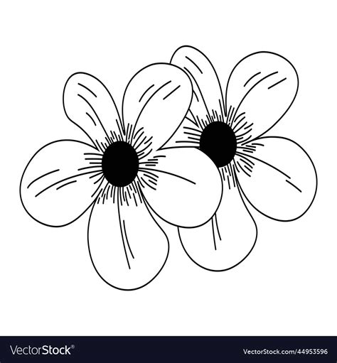 Flower doodle line art Royalty Free Vector Image