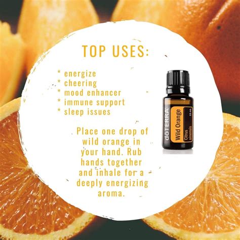 Wild Orange | Essential oil usage, Essential oils, Wild orange