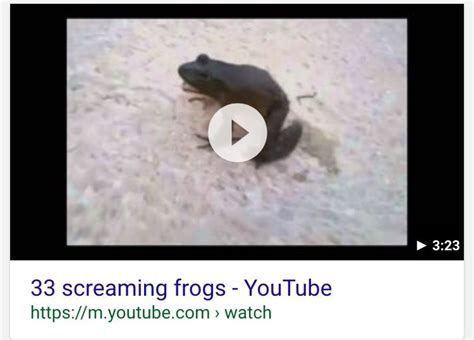 44 screaming frogs | Screaming frog, Scream, Memes