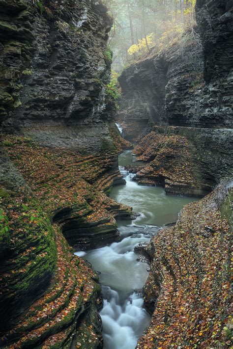 Autumn Day in Watkins Glen Photograph by Kristen Wilkinson - Fine Art America