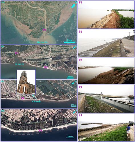 Different kinds of sea dikes constructed along the accretion muddy... | Download Scientific Diagram