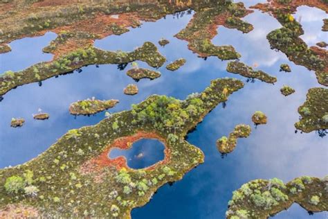 Tiredearth | Large-scale peatland restoration necessary for climate and biodiversity