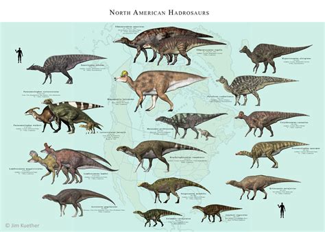 imgur.com | Prehistoric animals, Dinosaur, Prehistoric creatures