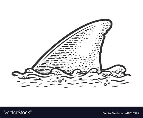 Shark fin above water sketch Royalty Free Vector Image