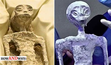 Mexican Alien Mummies Confirmed 'Not Human': 30% of Their DNA Is of Unknown Species, Analysts Claim