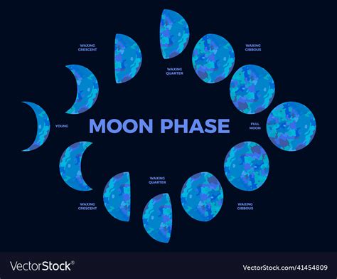 Moon phase textured surface of the lunar Vector Image