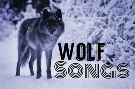 Top 10 Wolf Songs - Spinditty