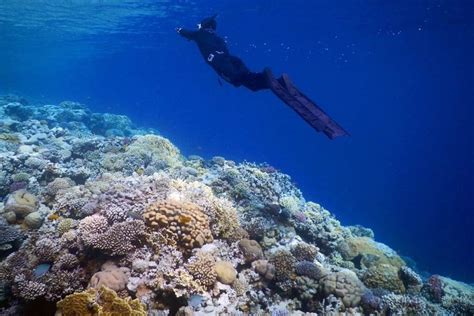 Best Snorkeling Spots in Egypt should be included in your Egypt travel package