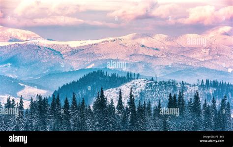 Beautiful winter landscape, snowy mountains in gentle sunset light ...