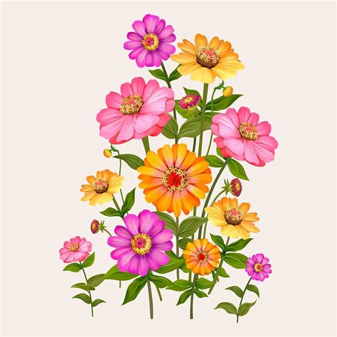 Zinnia flowers