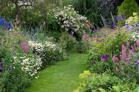 English cottage garden, Cottage garden plants, Country cottage garden