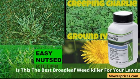 Is This The #1 Best Broadleaf Weed killer For Lawns?