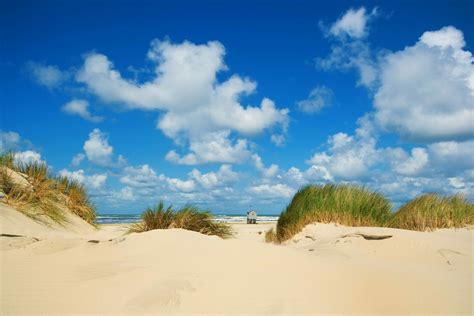 Beaches - Résidence Terschelling