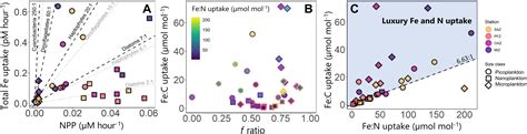 Nanoplankton: The dominant vector for carbon export across the Atlantic ...