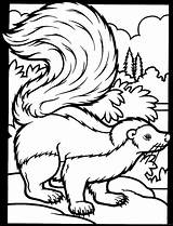 Dibujos De Zorrillo Para Colorear E imprimir– ColoringOnlyCom sketch template