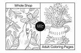 Adult Coloring Book  Whole Shop Creative Market sketch template