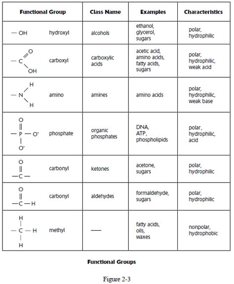 Phosphate Functional Group Example