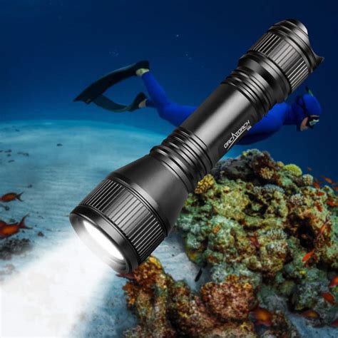 Top 10 Best Diving Flashlights in 2023 Reviews | Buyer's Guide