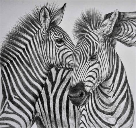 Animal Pencil Sketch: A Journey Through Wild Creativity