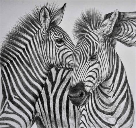 40 Beautiful and Realistic Animal Sketches For Your Inspiration