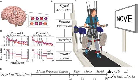 Frontiers | Brain-Computer interface control of stepping from invasive electrocorticography ...