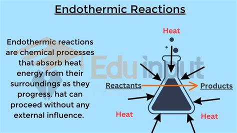 Endothermic Reactions-Characteristics, Identification, and Examples