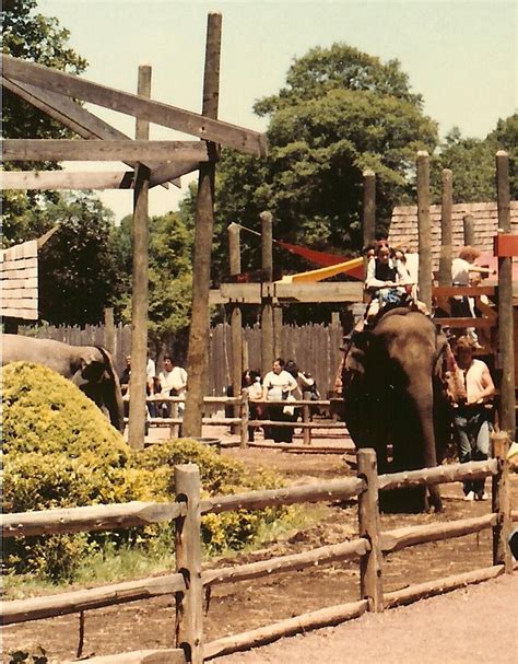 The Circus "NO SPIN ZONE": Bronx Zoo Elephant Ride