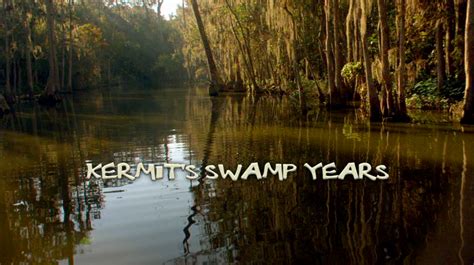 Kermit's Swamp Years - Muppet Wiki