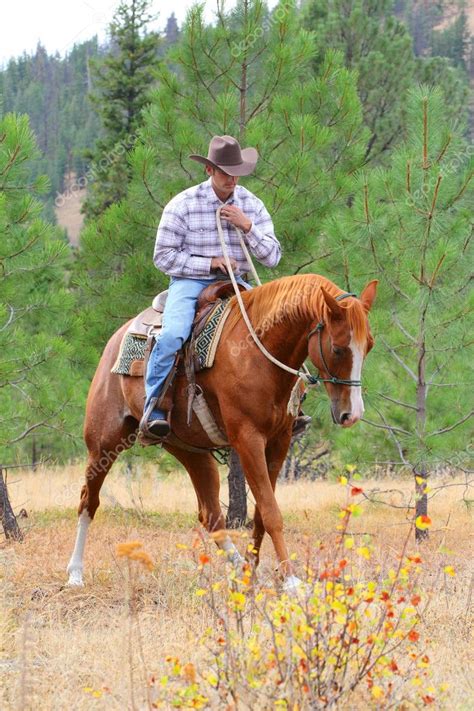 Horse trainer Stock Photo by ©vanell 9354529