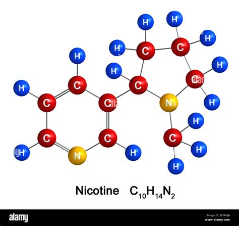 3d render of molecular structure of nicotine isolated over white background. Atoms are ...