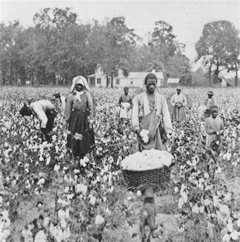 Sharecropping - BMS Primary Source Studies