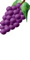 Free Grapes animations and animated gifs.