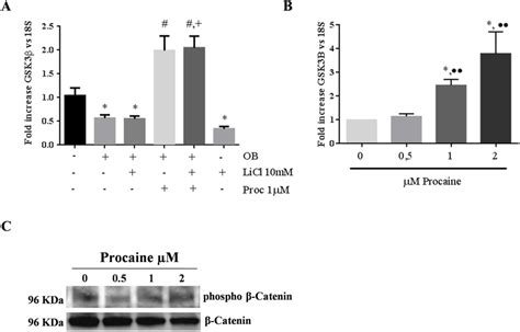 Mechanism of action of procaine. Changes in mRNA expression of GSK3β... | Download Scientific ...