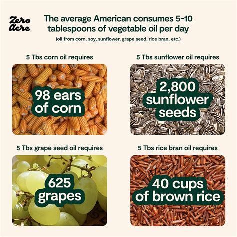 Are Vegetable Oils And Industrial Seed Oils Unhealthy?