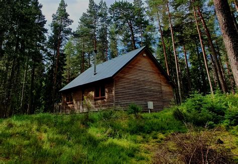 Home - Cairngorm Lodges