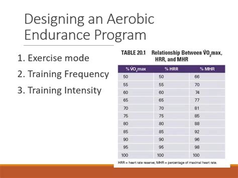 Aerobic Endurance Workout Plan | EOUA Blog