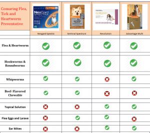 Choose the Best Flea, Tick and Heartworm Prevention for Dogs