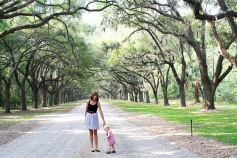 It's a Wonderful Life.: Wormsloe Plantation