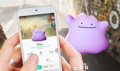 Pokemon Go Ditto: How to catch a Ditto, which Pokemon transform into ...