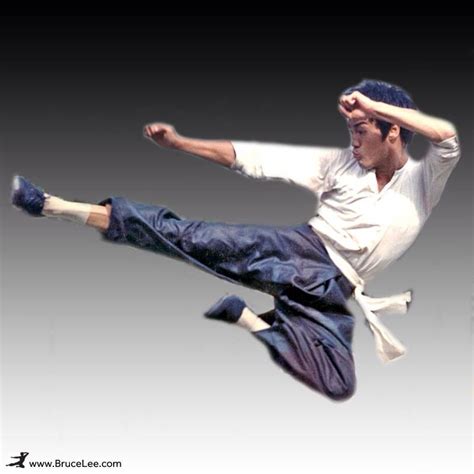 Flying kick | Bruce lee, Wing chun, Kung fu martial arts