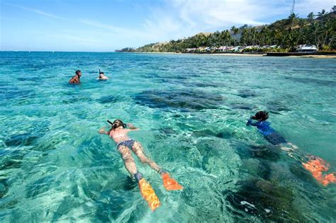 Snorkeling in Fiji Fiji Holiday, Holiday Resort, Fiji Coral Coast, Fiji ...