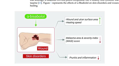 Effects of α-Bisabolol on skin disorders. ↑; increase, ↓; decrease ...